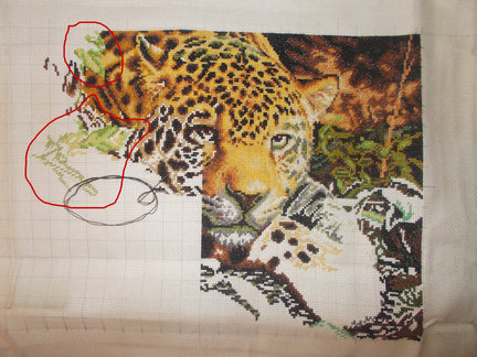 Предлагаю совместный процесс «Leopard in Repose» №62454