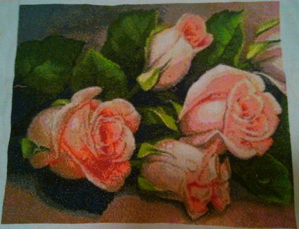 Оранжевые розы №62745