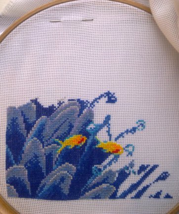 Совместник в контакте «Дельфины» №63279