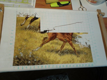 Прогулка №63861