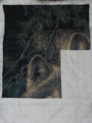 Мой процесс «Волки» №66656