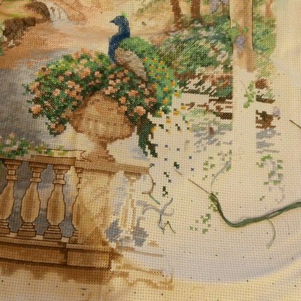 Величественный павлин от Dimensions №68949