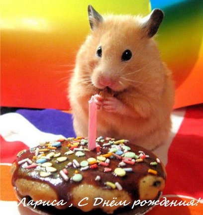 Процесс «Зеленая деревенька» №70546