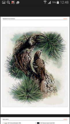 Работы, отшитые по схемам с этого сайта №71507