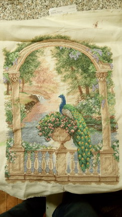 Величественный павлин от Dimensions №72012