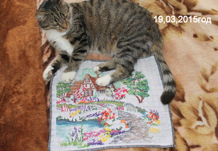 Мой «Очаровательный домик» (Dimensions) №72534