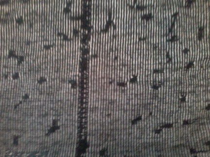 Моя самая большая работа №72695