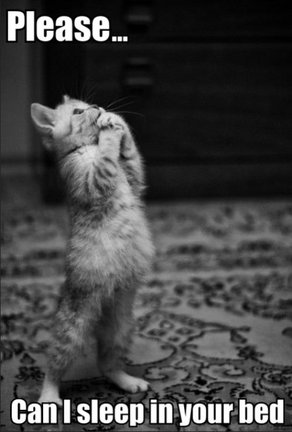 Весёлые картинки №73065