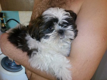 Мои неожиданные процессы №75684