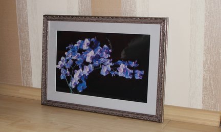 Орхидея от ГК №76454