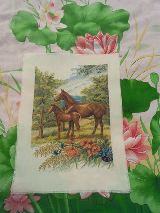 «На выгоне» (Золотое руно), процесс со значением((( №77011