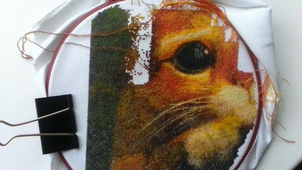 Процесс «Зеленая деревенька» №77142