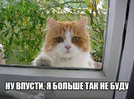 Весёлые картинки №77199