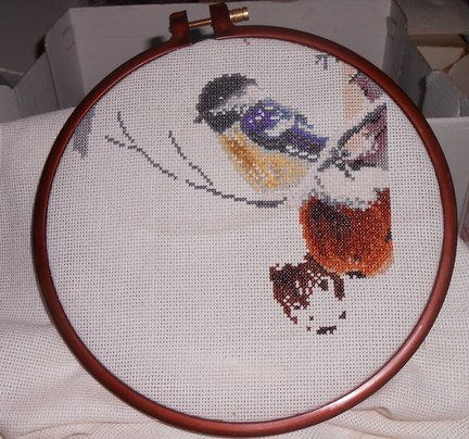 Яблоки в снегу №77239