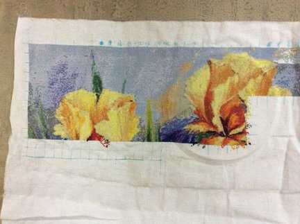 Ирисы (моя первая вышивка с сайта) №77982