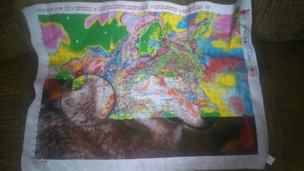 Волчонок №78376