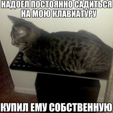 Весёлые картинки №78431