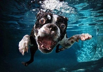 Весёлые картинки №78561