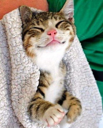 Весёлые картинки №78565