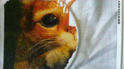 Процесс «Зеленая деревенька» №79376