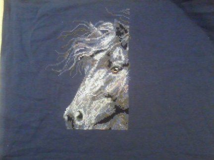 Ветер в гриве №80324