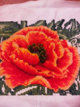 Прошу совета №80670