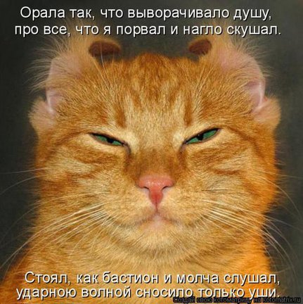 Весёлые картинки №80867