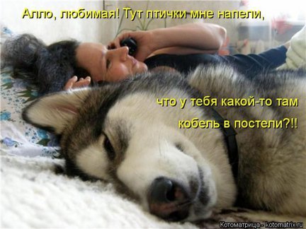 Весёлые картинки №80868