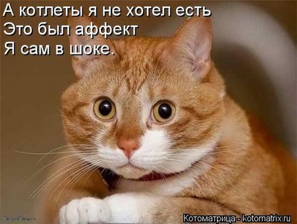 Весёлые картинки №80874