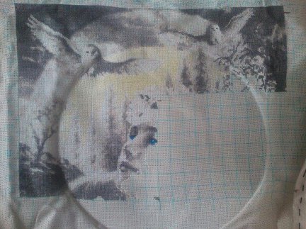 Эпоха волка №80958