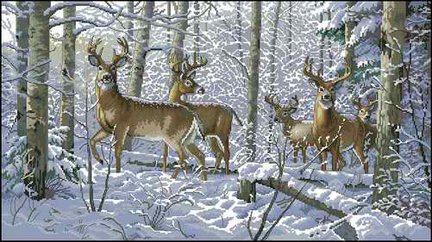 Кладовая схем 2 (животные, пейзажи и цветы) №81600