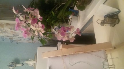 Пиратский кораблик №81842