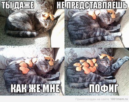 Весёлые картинки №83015