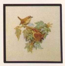 Схемы от PERMIN №83806