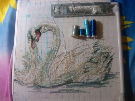 Нежность №83886