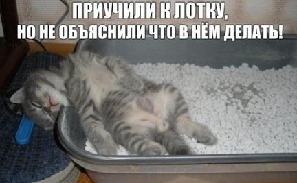 Весёлые картинки №84267