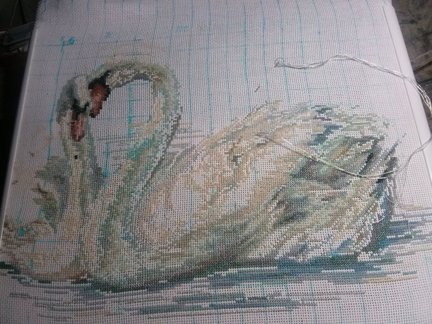 Нежность №85442