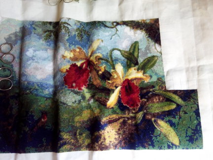 «Орхидеи-близнецы», схема с этого сайта №86988
