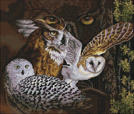 Волчий взгляд №89959