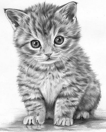 Хочу поделиться! №90373