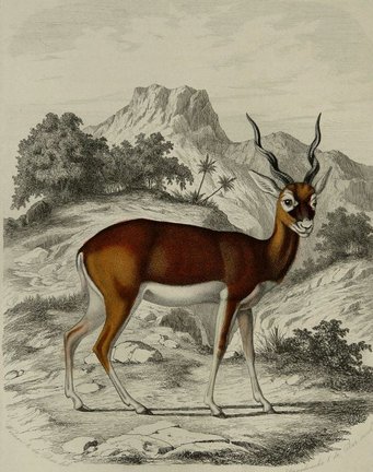 Хочу поделиться! №90565