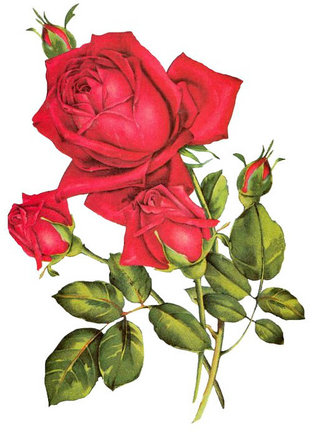 Хочу поделиться! №90932