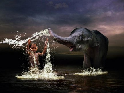 Забавное в дикой природе. Улыбнитесь! №91015