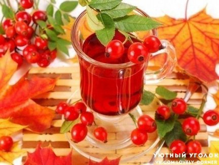 Приятного аппетита! №91816