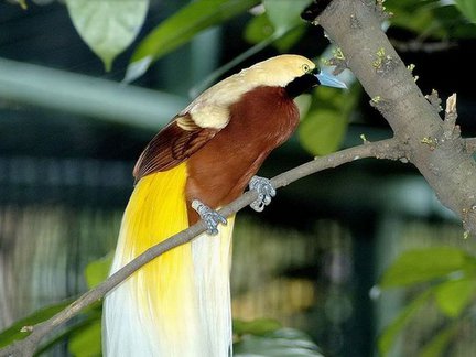 Забавное в дикой природе. Улыбнитесь! №91873