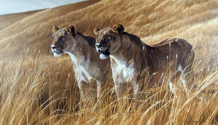 Хочу поделиться! №92001