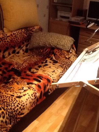 От дебюта и до ГК №92491