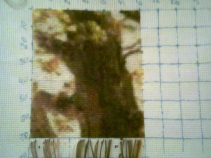 От дебюта и до ГК №92515