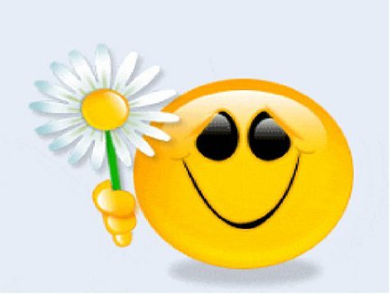 ГК 2982 «Welcome Home» №93650