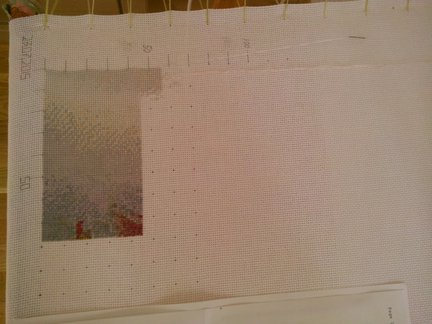 Мои французские розы №95074